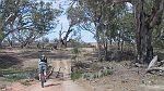 29-Heidi takes bridge across Mularoo Creek on Lindsay Island